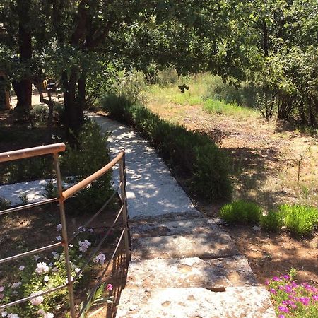Roussillon en IsereLe Bois De La Cour别墅 外观 照片